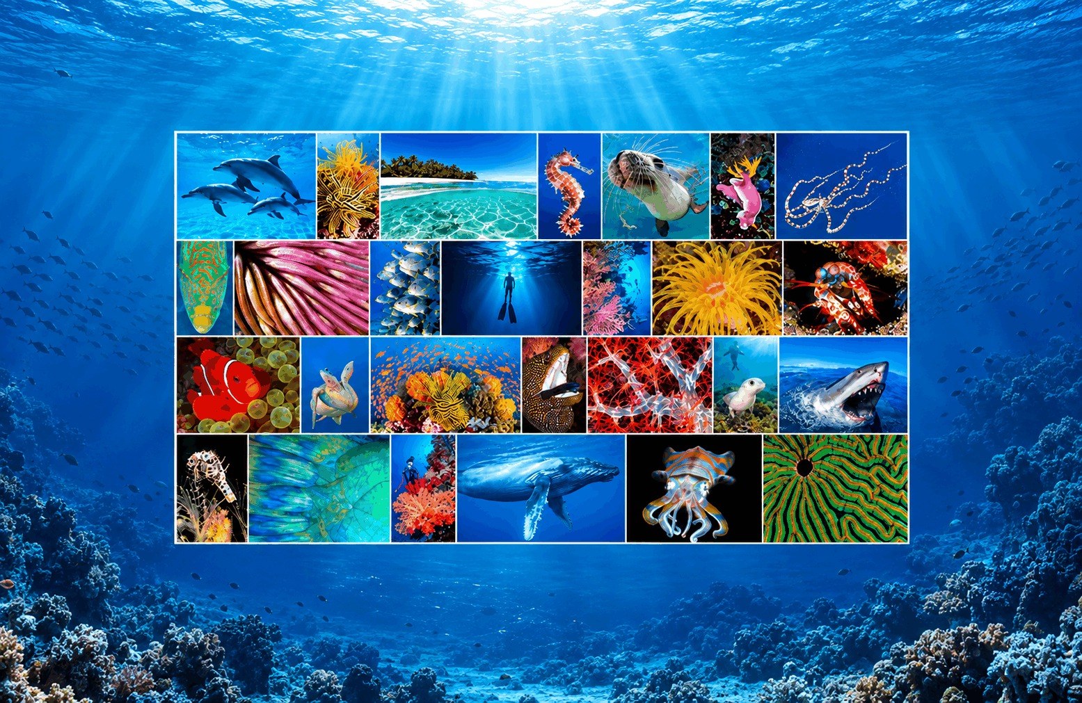Oceanwide Images