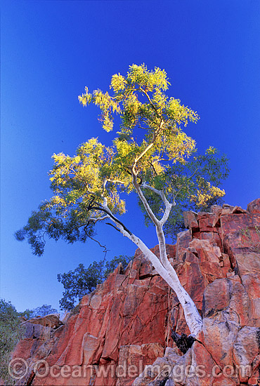 Landscape Photography