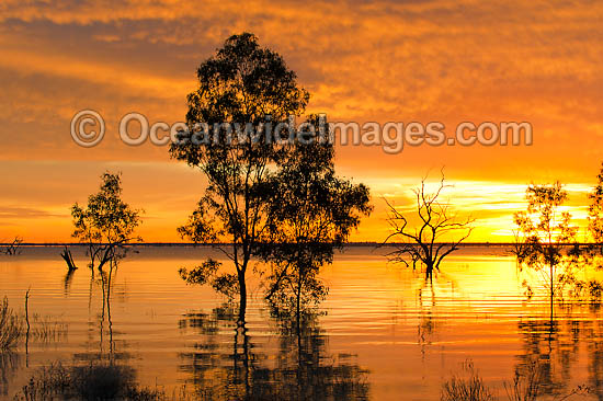Landscape Photography