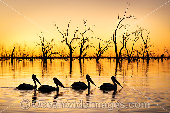 Landscape Photography